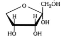 Which set of terms correctly identifies the carbohydrate shown?