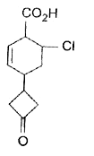 Given the IUPAC name of the following compounds