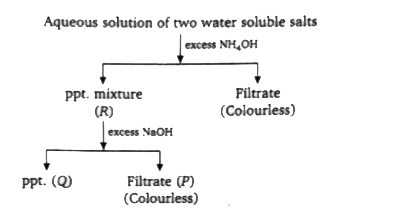 Q. When H(2)S gas was passed into filtrate (P), a coloured precipitate was obtained, then cation present in the filtrate is: