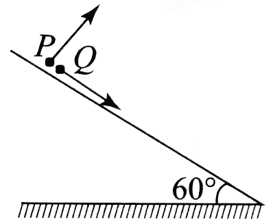 A particle P is projected from a point on the surface of smooth inclined plane (see figure). Simultaneously another particle Q is released on the smooth inclined plane from the same position. P and Q collide aftert=4. The speed of projection of P is