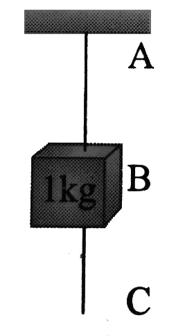 A mass of 1 kg is suspended by a string A. another string C is connected to its lower end (see figure). If the string C is stretched slowly, then