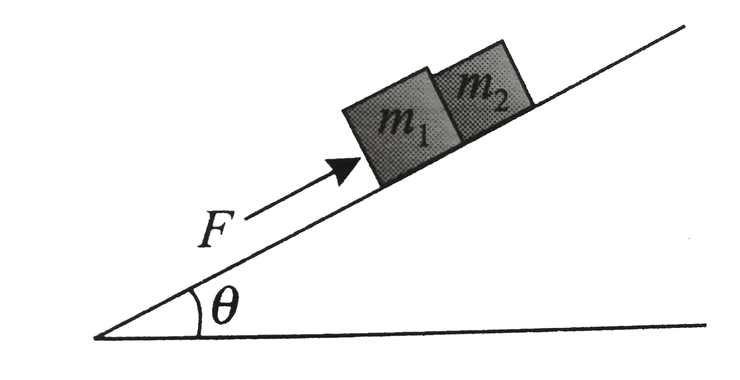 Two blocks are placed at rest on a smooth fixed inclined place. A force F acts on block of mass m1 and is parallel to the inclined plane as shown in figure. Both blocks move up the incline. Then   (i) Draw free body diagram blocks of mass m1 and blocks mass m2   (ii) Find acceleration of blocks of mass m1 and blocks mass m2   (iii) Find normal reaction between the blocks of mass m1 and m2