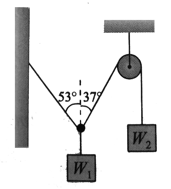 Two weights W1 and W2 in equilibrius and at rest are suspended as shown in figure. Then the ratio (W1)/(W2) is: