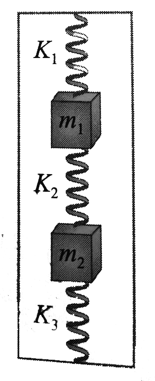 In an elevator a system is arranged as shown in figure. Initially elevator is at rest and the system is in equilibrium with middle spring unstretched. When the elevator accelerated upwards, it was found that for the new equilibrium position (with respect to lift), the further extension i the top spring is 1.5 times that of the further compression in the bottom spring, irrespective of the value of acceleration    (a) Find the value of (m1)/(m2) in terms of spring constants for this happen.   (b) if k1=k2=k3=500(N)/(m) and m1=2 kg and acceleration of the elevator is 2.5(m)/(s^2), find the tension in the middle spring in the final equilibrium with respect to lift.