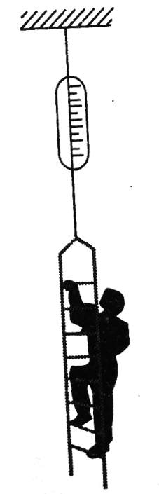 Figure shows a 5 kg ladder hanging from a string that is connected with a ceiling and is having a spring balance connected in between. A boy of mass 25 kg is climbing up the ladder at acceleration 1(m)/(s^2). Assuming the spring balance and the string to be massless and the spring to show a constant reading, the reading of thespring balance is: (Takeg=10(m)/(s^2))