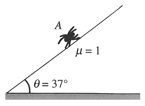 An insect of mass m, starts moving on a rough inclined surface from point A. As the surface is vert sticky, the corfficient of fricion between the insect and the incline is mu=1. Assume that it can move in any direction, up the incline or down the incline then