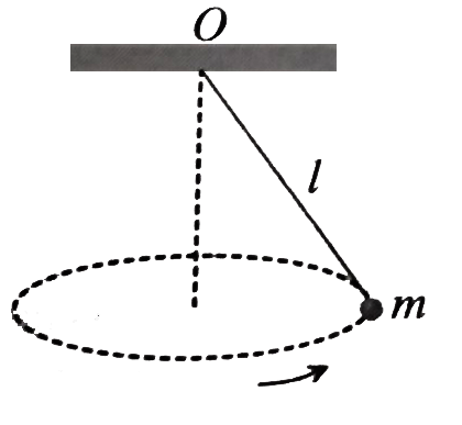 A point mass m is suspended from a light thread of length l, fixed at O, is whirled in a horizontal circle at constant speed as shown. From your point of view, stationary with respect to the mass, the forces on the mass are
