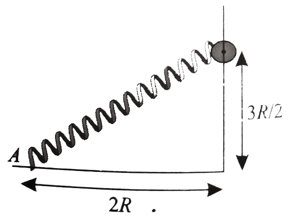 A ring of mass m slide over a smooth vertical rod. The ring is connected to spring of force constant K=(4mg)/(R ) where 2 R is the natural length of the spring. The other end of the spring is fixed to the ground at a horizontal distance 2 R from the base of the rod. The mass is released at a height of 1.5 R from ground.   Q. The velocity of the righ as it reaches the ground.