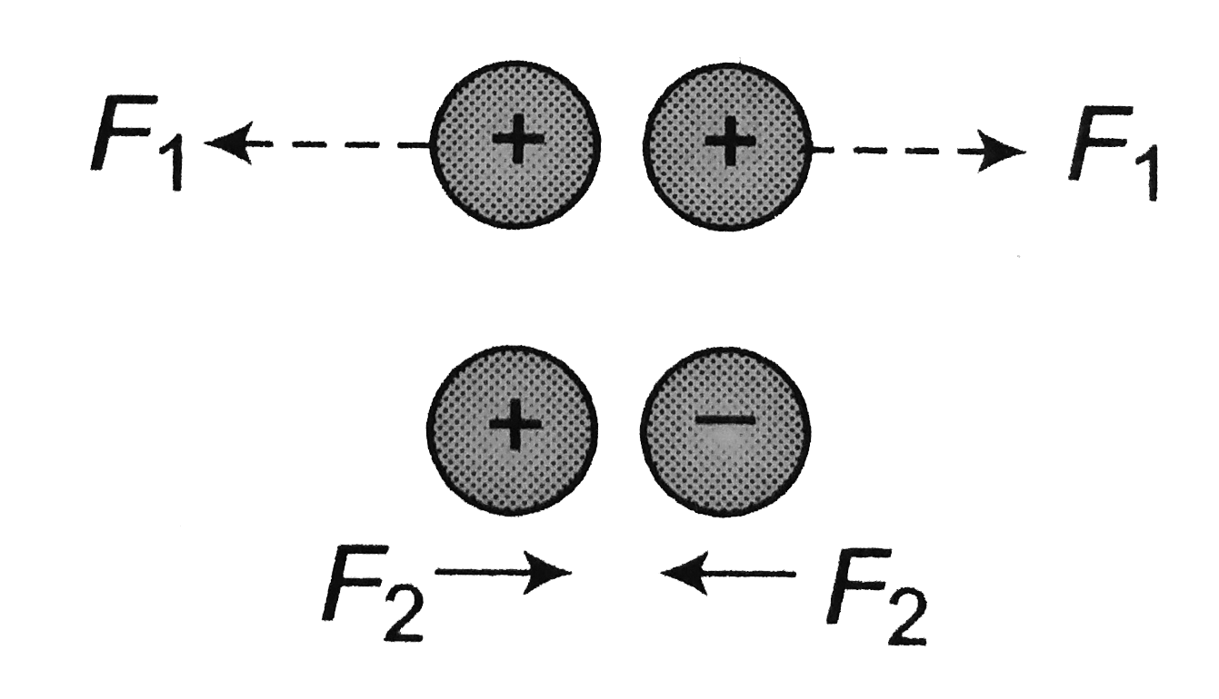 In two cases, two identical conducting sphere are given equal charges, in one case of the same type whereas in another case of opposite type. The distance between the spheres is not large comparing with the diameter. Let F(1) and F(2) be the magnitudes of the force of interaction between the spheres, as shown, then