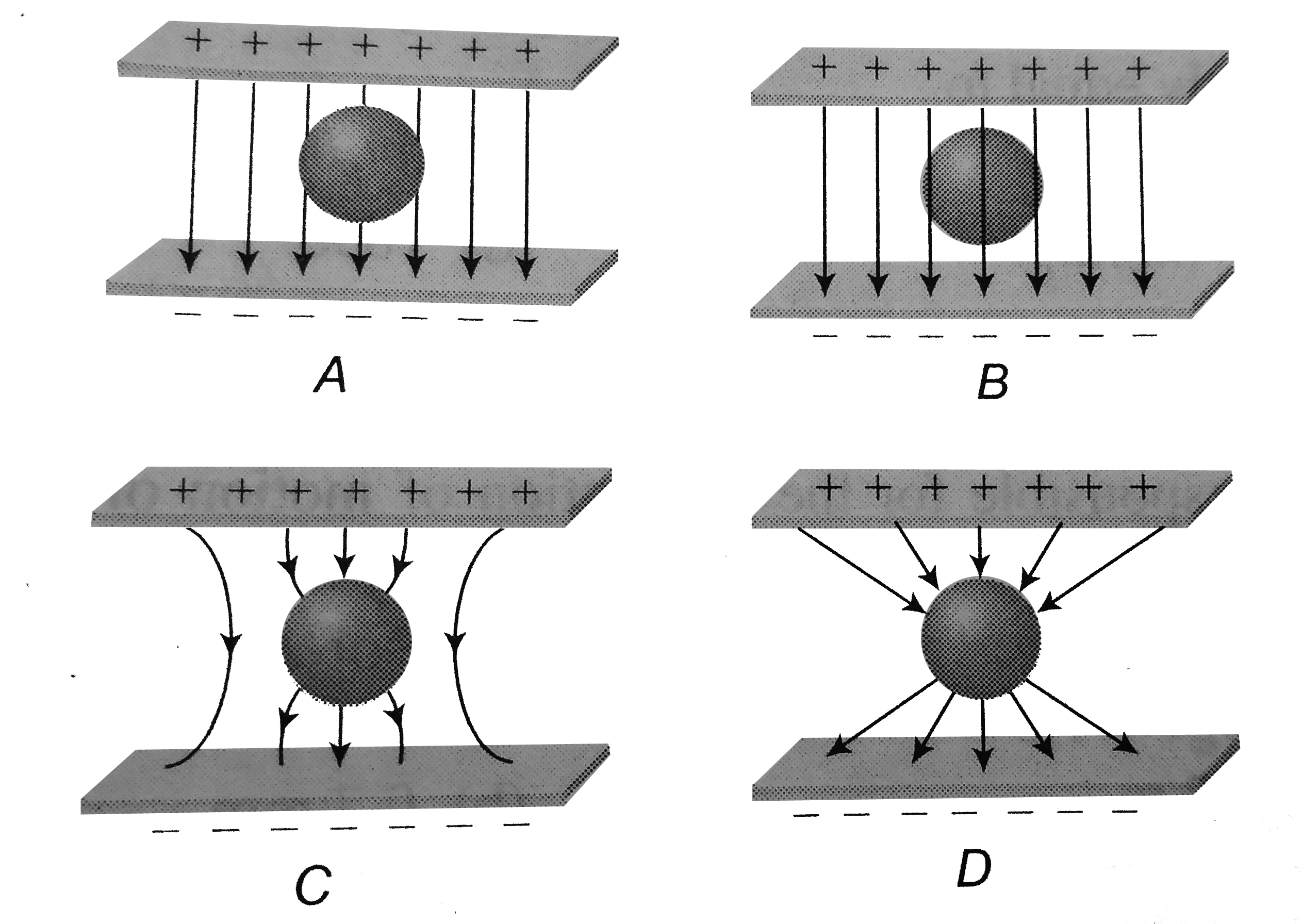 An uncharged sphere of metal is placed in between two charged plates as shown. The lines of force look like