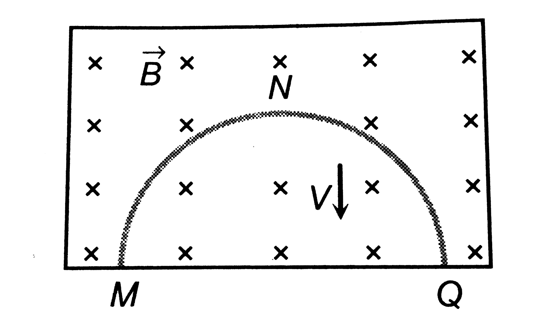 A thin semicircular conducting ring of radius R is falling with its plane verticle in a horizontal magnetic inducting B. At the position MNQ, the speed of the ring is V and the potential difference developed across the ring is    
 (1.) zero
 (2.)BcpiR^(2)//2
 (3.) piRBV 
 (4.) 2RBV