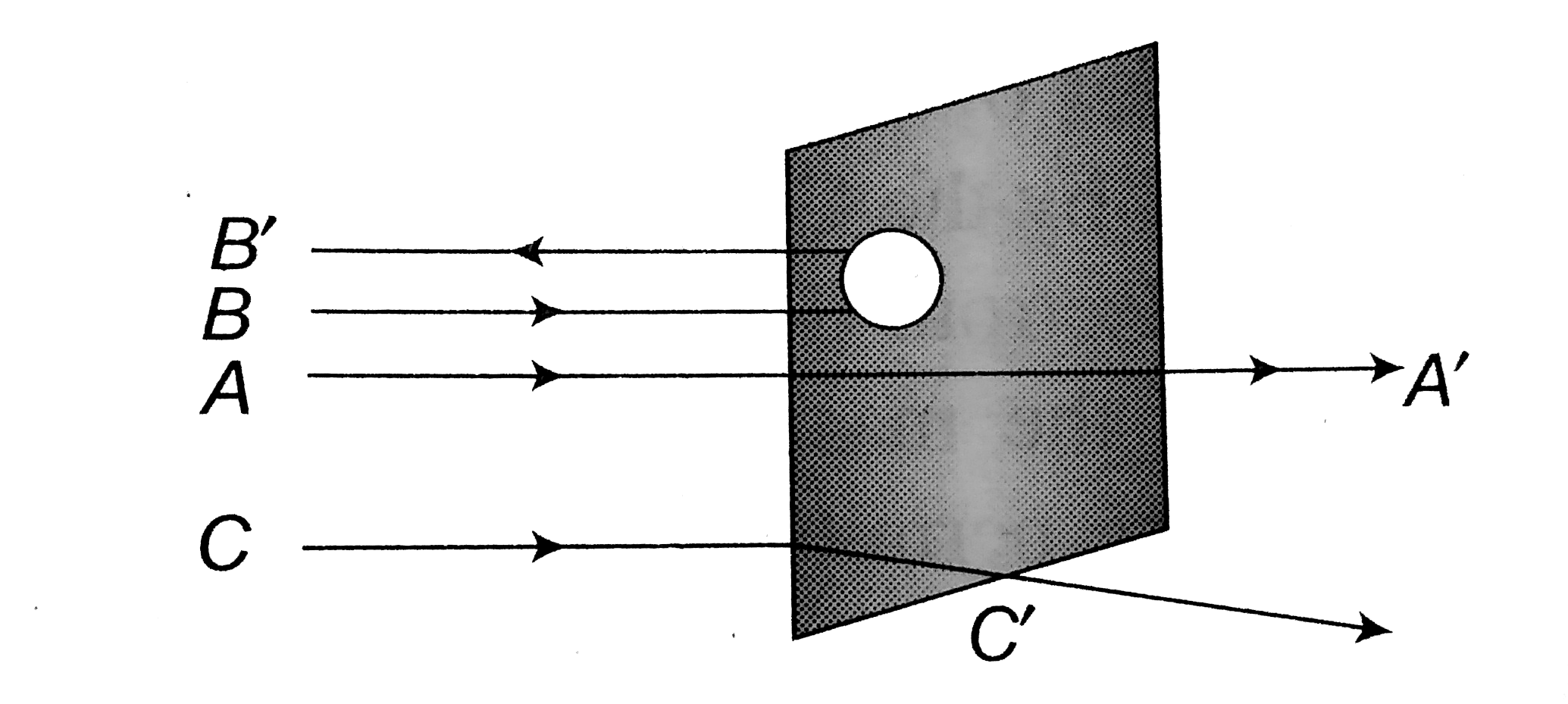 A beam of fast moving alpha particles were directed towards a thin film of gold. The parts A', B' and C' of the transmitted and refected beams correcponding ro the incident parts A, B and C of the beam, are shown in the adjoining diagram. The number of alpha particles in