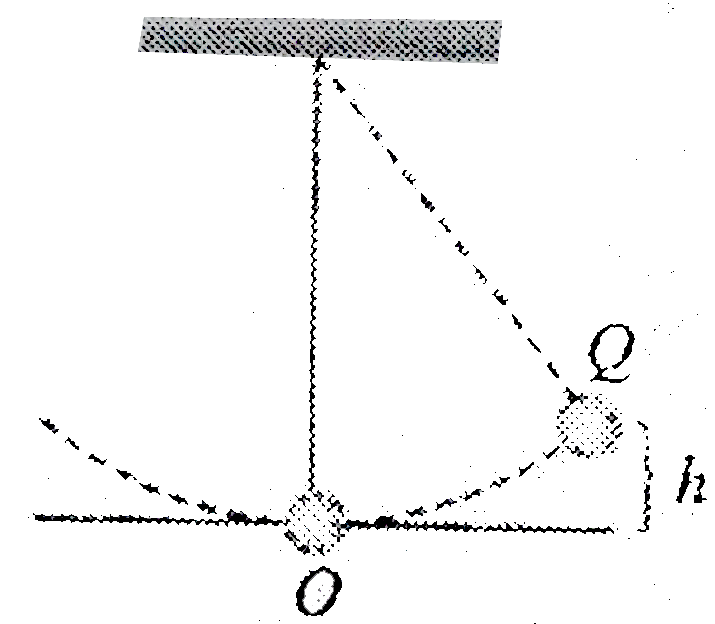 The bob of a simple pendulum is displaced from its equilibrium position O to a position Q which is at hight h above O and the bob is then released. Assuming the mass of the bob to be m and time period of oscillation to be 2 s, the tension in the string when the bob passes through O is