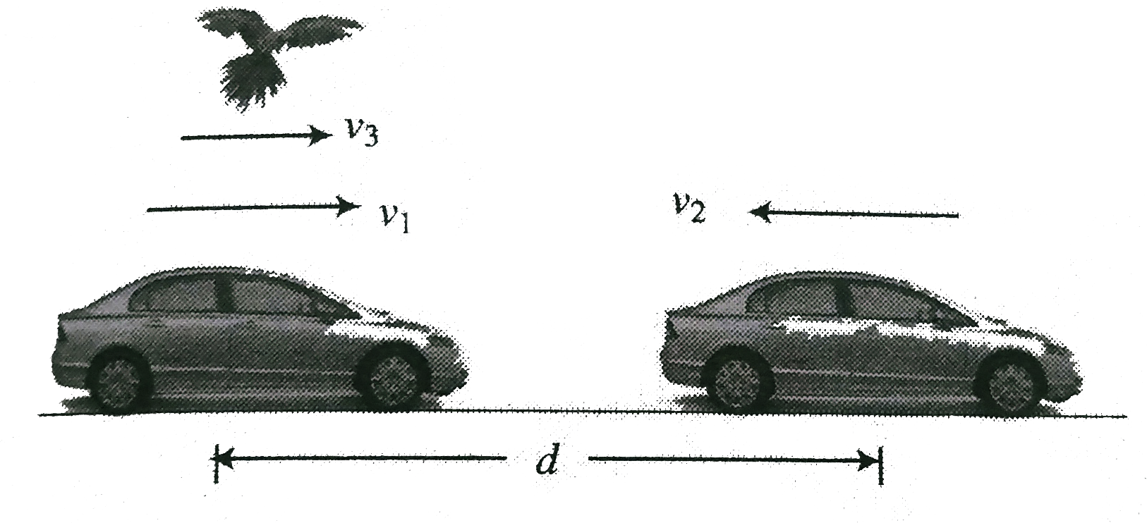 A bird flies to and fro between two cars wich move with velocities v(1) and v(2), If the speed of the bird is v(3) and the initial distance ofseparation between then is d, find the total distance covered bythe bird till the cars meet.   .