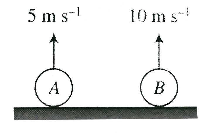 Two particles A and B are thown vertically upward with velocity, vertically upward with velocity, 5 m s^(-1) and 10 m s^(-1) respectively (g=10 m s^(-2)), Find separation between them after 1 s.   .