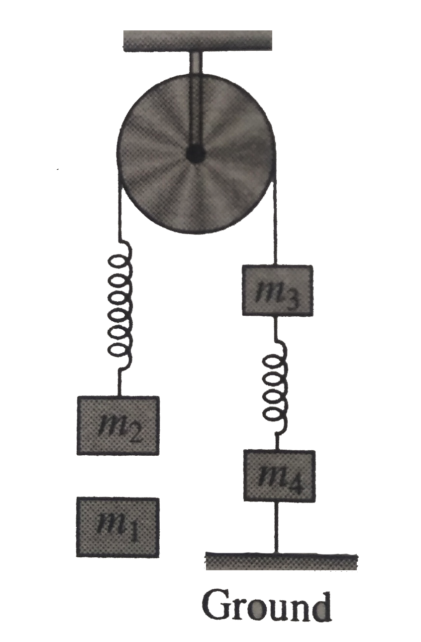 For the system shown in fog. m(1) gt m(2) gtm(3) gt m(4). Initially, the system is at rest in equilibrium condition., if the string joining m(4) and ground is cut, then just after the string is cut.       Statement I: m(1), m(2), m(3) remain stationary.   Statement II: The value of acceleration of all the four blocks can be determined.   Statement III: Only m(4) remain stationary.   Statement IV: Only m(4) accelerates.