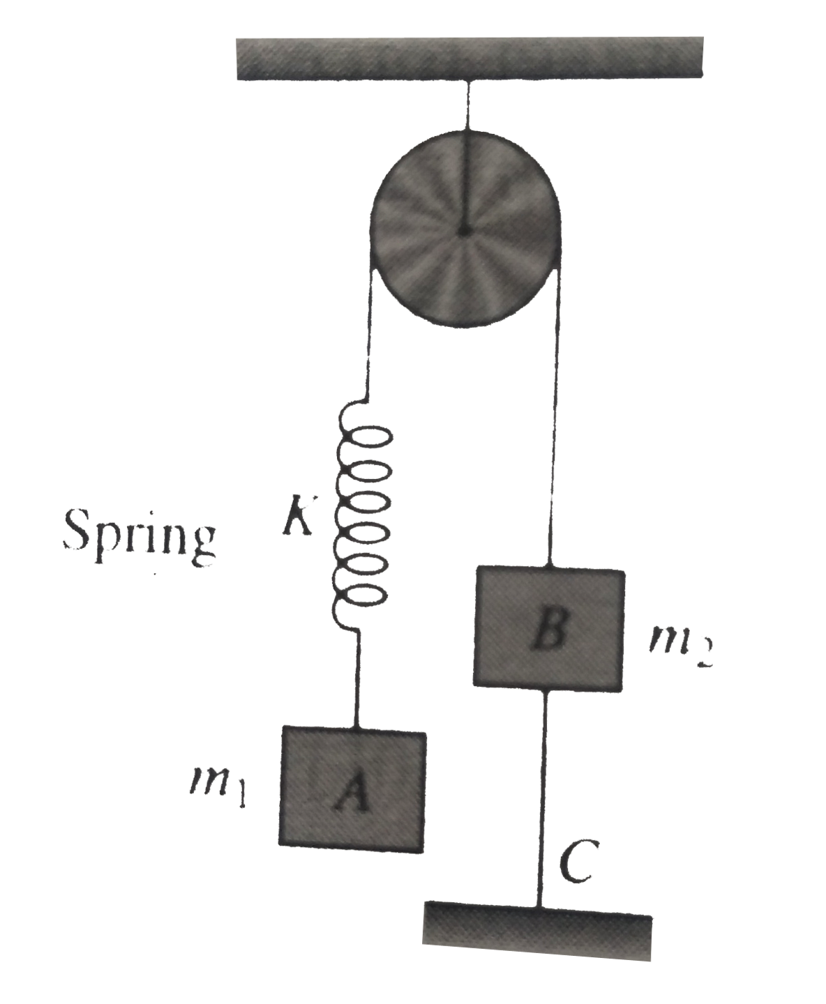 In the system shown in fig. m(1) gt m(2) . The system is held at rest by thread BC. Now thread BC is burnt. Answer the following:      Before burnig the thread, what are the tensions in spring and thread BC, respectively?