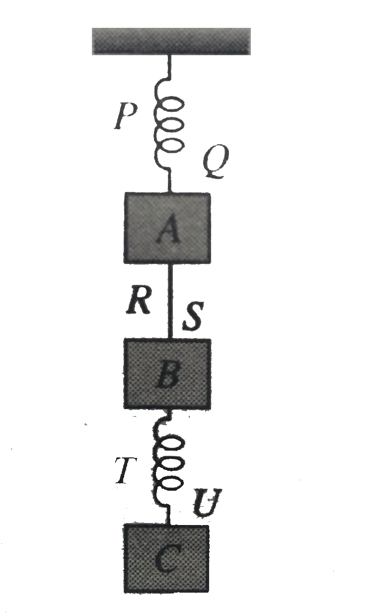 Three blocks A, B, and C of masses 3M, 2M, and M are suspended vertically with the help of spring PQ and TU, and a string RS as shown in fig. If the acceleration of blocks A, B and C is a(1), a(2) and a(3) , respectively, then      The value of acceleration a(3) at the moment spring PQ is cut is