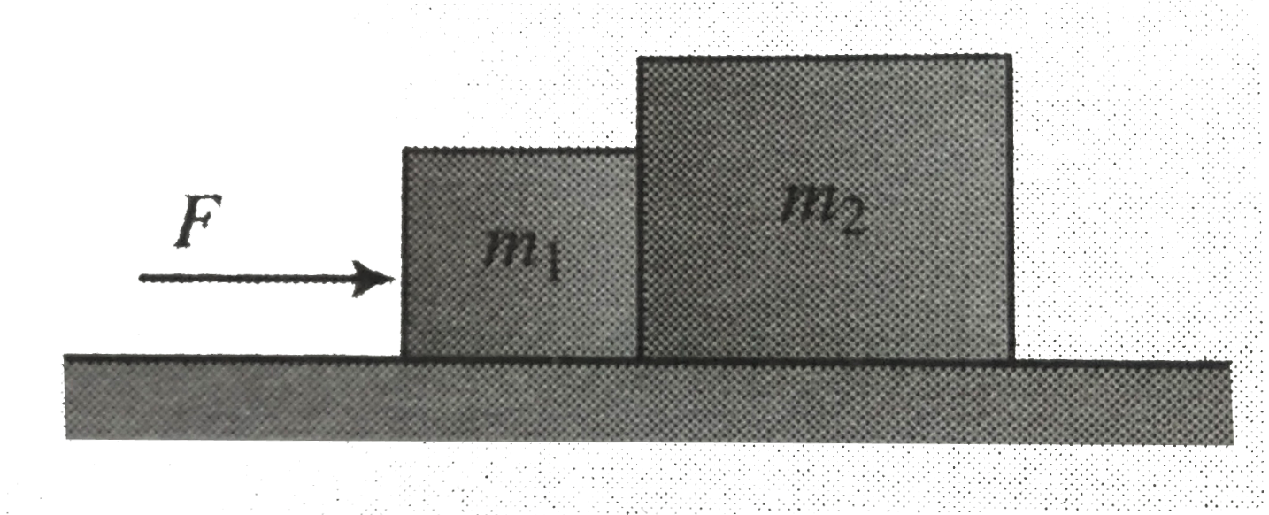 Two block of masses m(1) and m(2) are placed side by side on a smooth horizontal surface as shown in fig. A horizontal force F is applied on the block .       (a) Find the acceleration of each block.   (b) Find the normal reaction between the two blocks.
