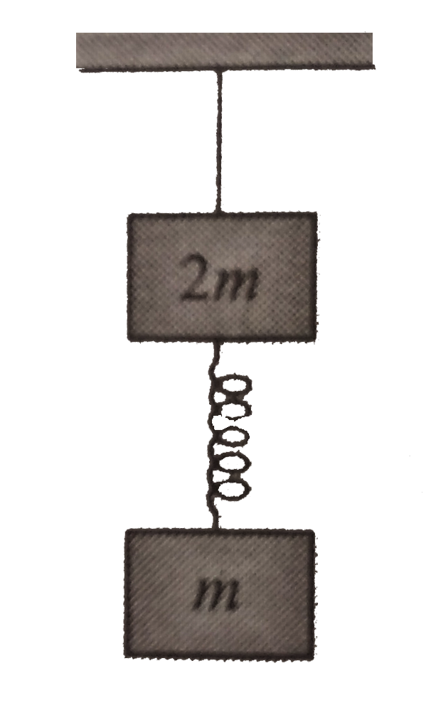 Two blocks are connected by a spring. The combination is suspended, at rest, from a string attached to the ceiling, as shown in fig. The string breaks suddenly.   Immediately after the string breaks, what is the initial downward acceleration of the upper block of mass 2m?