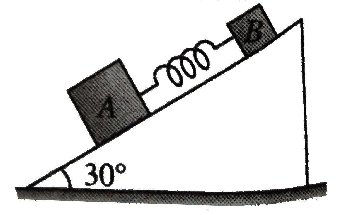 Two blocks A and B of masses 5 kg and 2 kg respectively connected by a spring of force constant  = 100Nm^(-1) are placed on an inclined plane of inclined 30^(@) as shown in figure If the system is released from rest