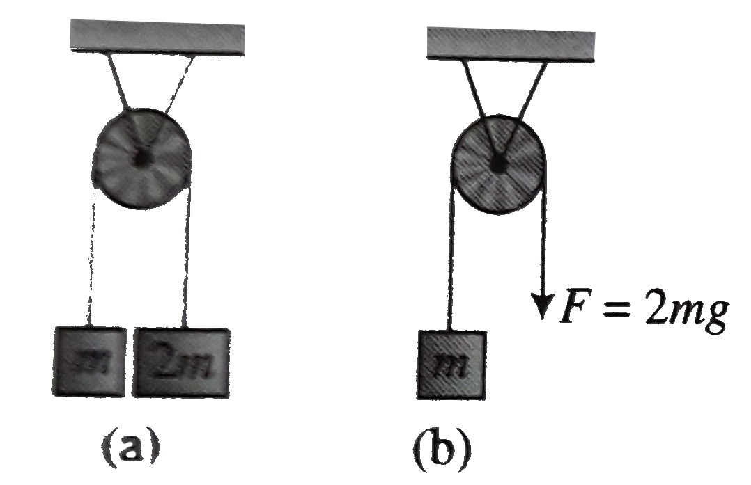 The pulley arrangement in Fig are identical .The mass of the rope is negligble in figure the mass m is lifted up by atteched a mass 2m to the other end of the rope . In (b), m is lifed up by pulley the other end of the rope with a constant in both cases