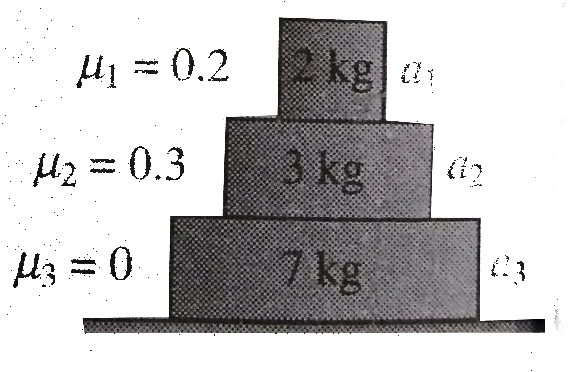 Find the acceleration a(1) , a(2) and a(3) of the three blocks shown in Fig  if a horizontal force of 10 N is applied on      (a) 2 kg blocks, (b) 3 kg blocks and ( c) 7 kg blocks (Take g = 10 ms^(-2))