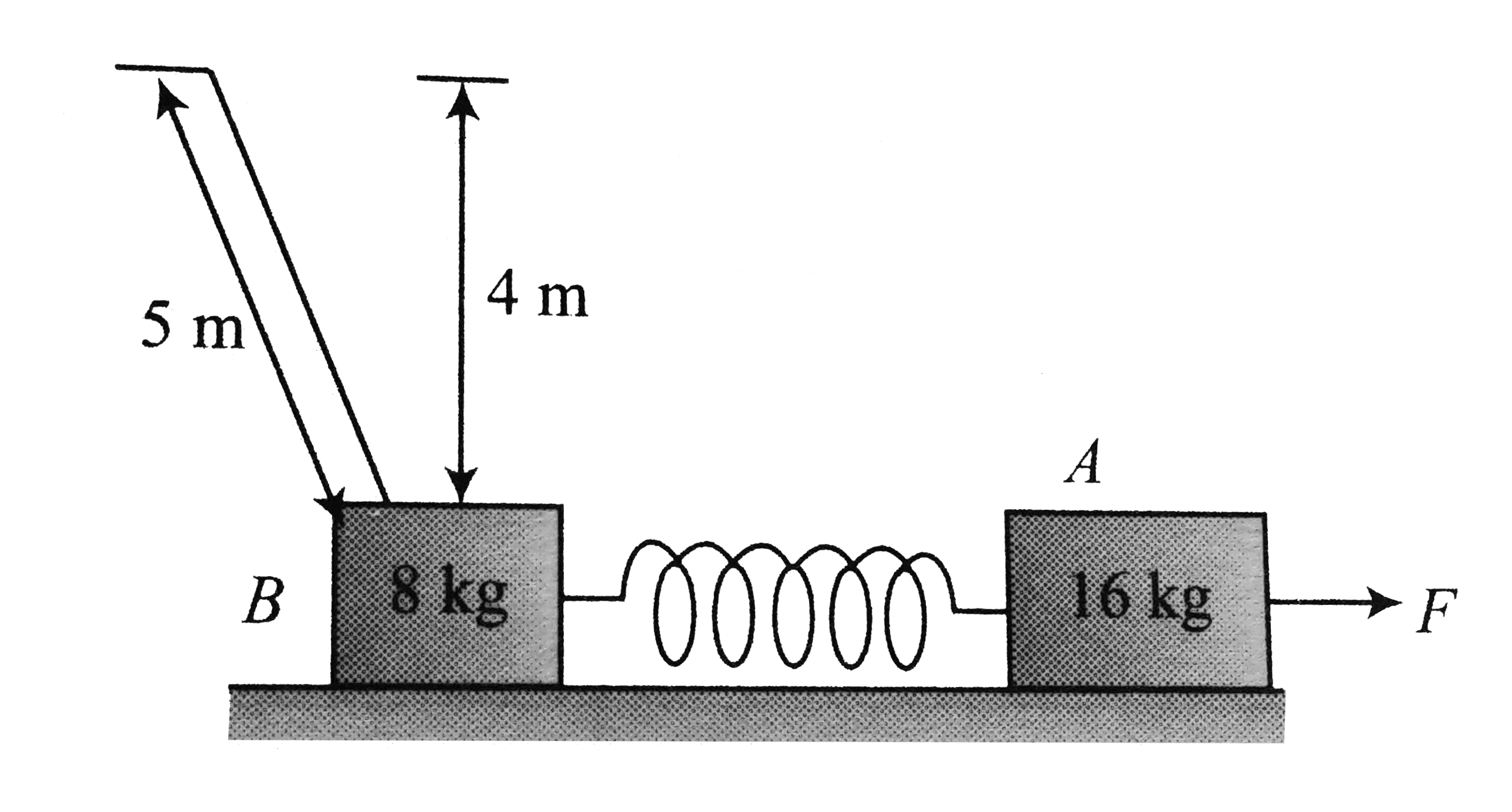 Two blocks having masses 8kg and 16kg are connected to the two ends of a light spring. The system is placed on a smooth horizontal floor. An inextensible string also connects B with ceiling as shown in the figure at the final moment. Initially the spring has its natural length. A constant horizontal force F is applied to the heavier block as shown. What is the maximum possible value of F so the lighter block doesn't loose contact with ground?
