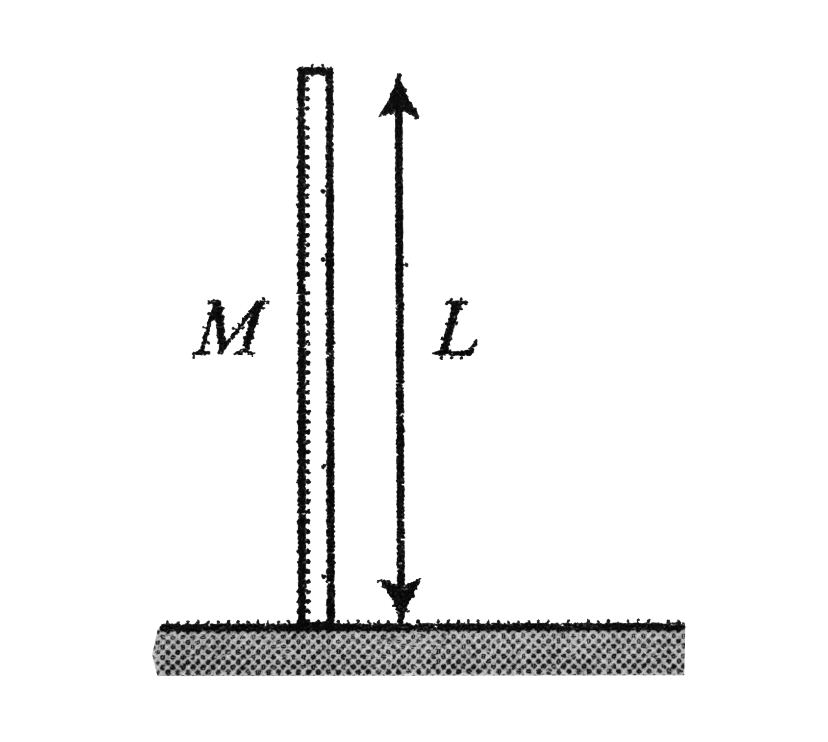A uniform rod of mass M and length L is held vertically upright on a horizontal surface as shown in figure. Assuming zero potential energy at the base of the rod, determine the potential energy of the rod.