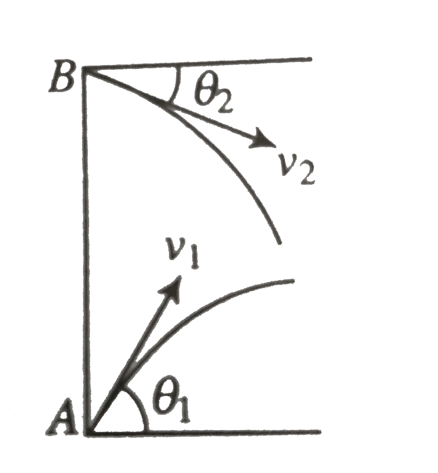 Two balls are projected from points A and B in vertical plane as shown in figure. AB is a straight vertical line. The balls can collide in mid air if v1//v2 is equal to
