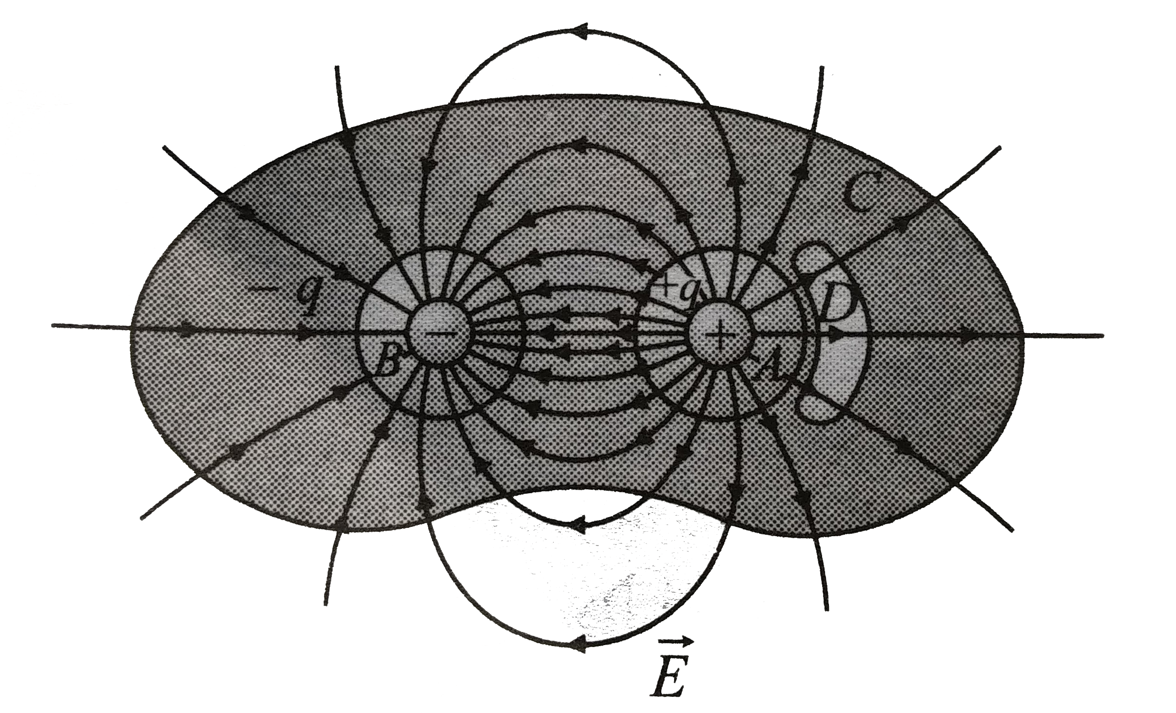 figure shows the field produced by two point charges +q and -q of equal magnitude but opposite  signs (an electric dipole). Find the electric flux through each of the closed surfaces A,B,C, and D.