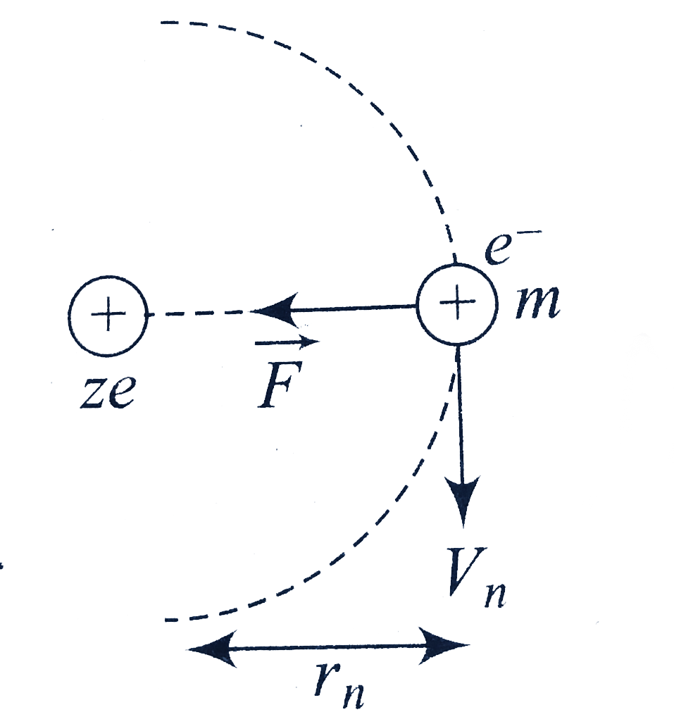 Hydrogen is the simplest atom of nature. There is one proton in its nucleus and an electron moves around the nucleus in a circular orbit. According to Niels Bohr's, this electron moves in a stationary orbit, if emits no electromagnetic radiation. The angular momentum of the electron is quantized , i.e., mvr = (nh//2 pi), where m = mass of the electron , v =velocity of the electron in the orbit , r =radius of the orbit , and n = 1, 2, 3.... When transition takes place from Kth orbit to Jth orbit, energy photon is emitted. If the wavelength of the emitted photon is lambda.      we find that (1)/(lambda) = R [(1)/(J^(2)) - (1)/(K^(2))], where R is   Rydberg's constant.   On a different planed, the hydrogen atom's structure was somewhat different from ours. The angular momentum of electron was P = 2n (h//2 pi). i.e., an even multipal of (h//2 pi).   Answer the following questions regarding the other planet based on above passage:   The minimum permissible radius of the orbit will be