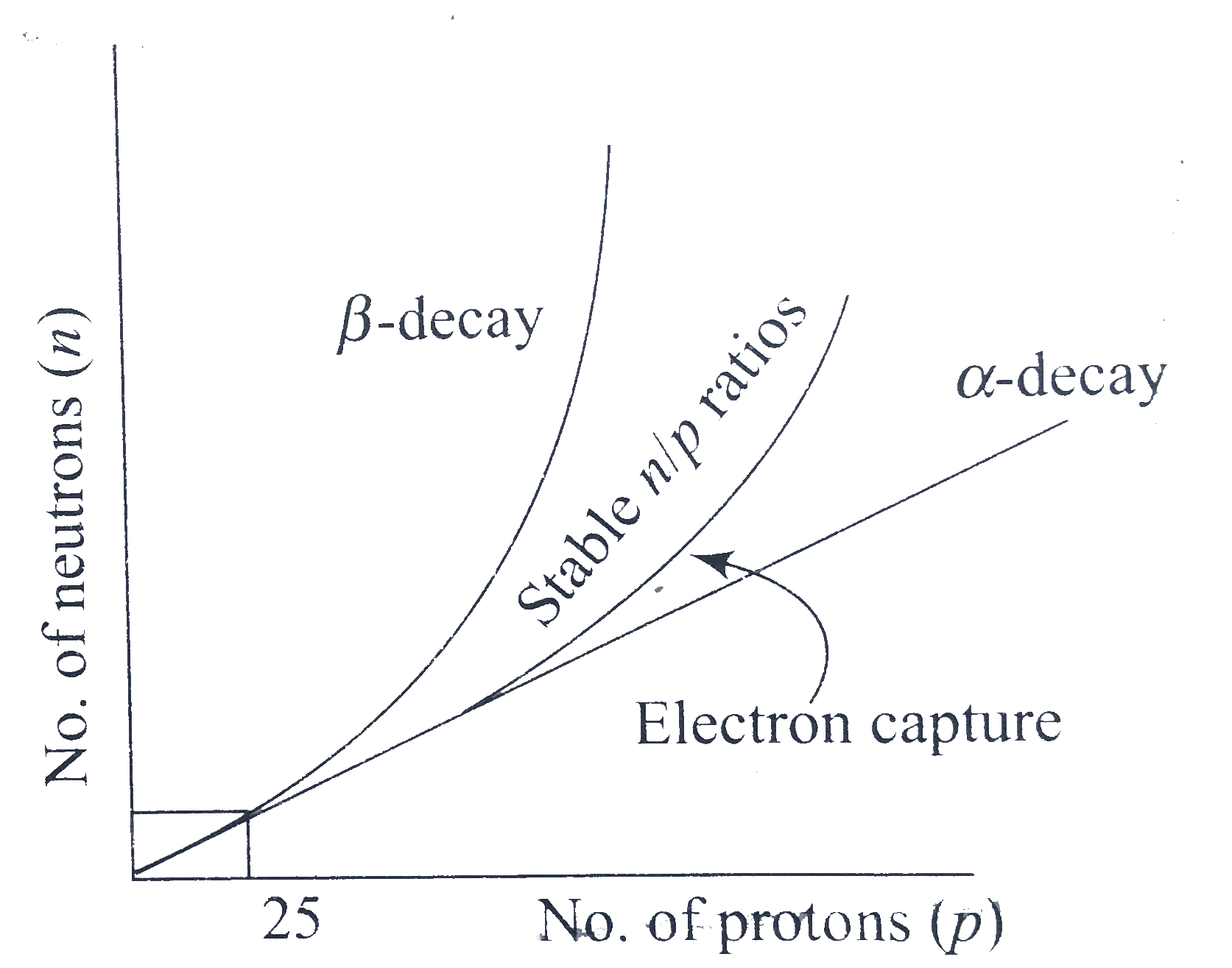 Various rules of thumb have seen proposed by the scientific community to expalin the mode of radioactive decay by various radioisotopes. One of the major rules is called the n//p ratio. If all the known isotopes of the elemnts are plotted on a graph of number of neutrons (n) versus number of protons (p), it is observed that all isotopes lying outside of a ''stable'' n//p ratio region are radioactive as shown fig. The graph exhibits straight line behaviour with unit slope up to p=25. Above p=25, tgose isotopes with n//p ratios lying above the stable region usually undergo beta decay. Very heavy isotopes (pgt83) are unstable because of their relativley large nuclei and they undergo alpha decay. Gamma ray emission does not involve the release of a particle. It represnts a change in an atom from a higher energy level to a lower energy level.       How would the radioisotope of magnesium with atomic mass 27 undergo radioactive decay?.