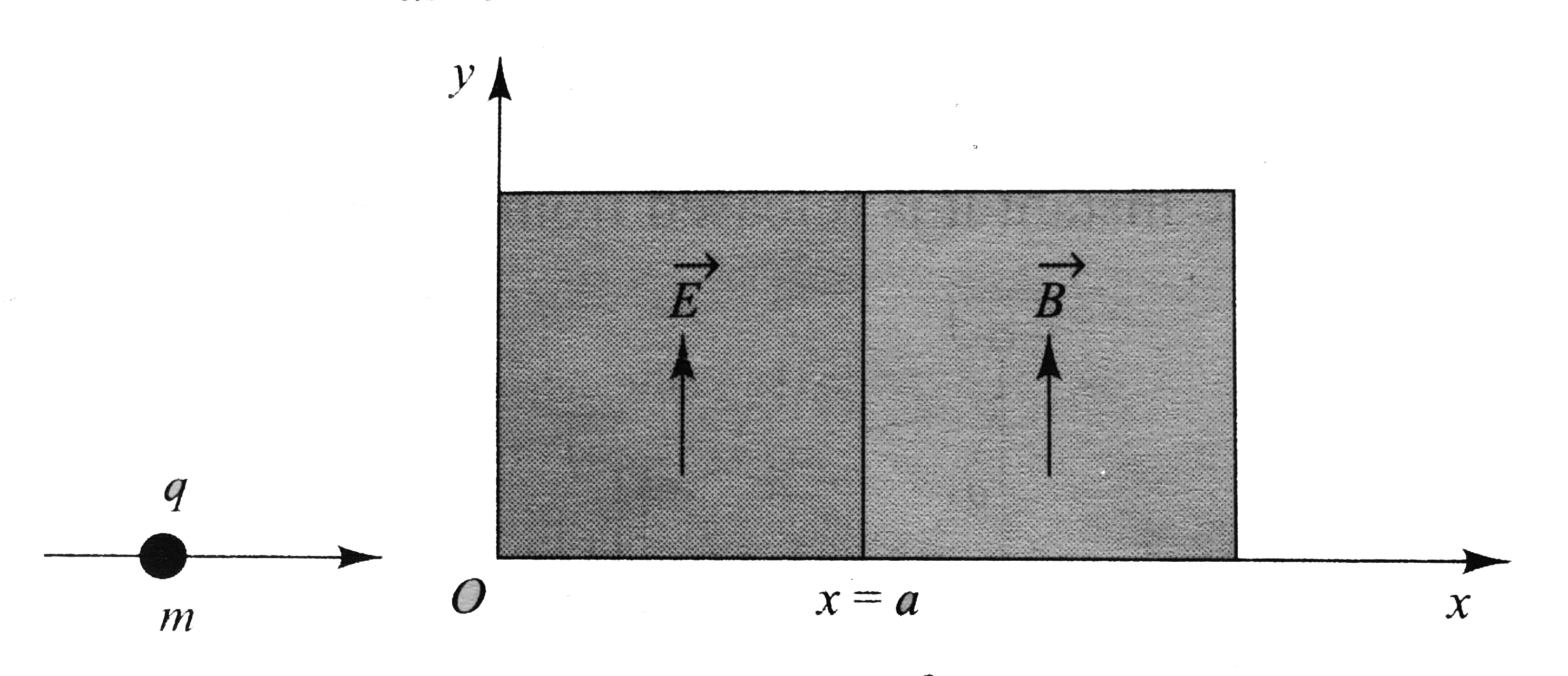 A positively charged particle, having charge q, is accelerated by a potential difference V. This particle moving along the x-axis enters a region where an electric field E exists. The direction of the electric field is along positive y-axis. The electric field exists in the region bounded by the lines x=0 and x=a. Beyond the line x=a (i.e., in the region xgta), there exists a magnetic field of strength B, directed along the positive y-axis. Find      a. at which point does the particle meet the line x=a.   b. the pitch of the helix formed after the particle enters the region xgea. (Mass of the particle is m.)