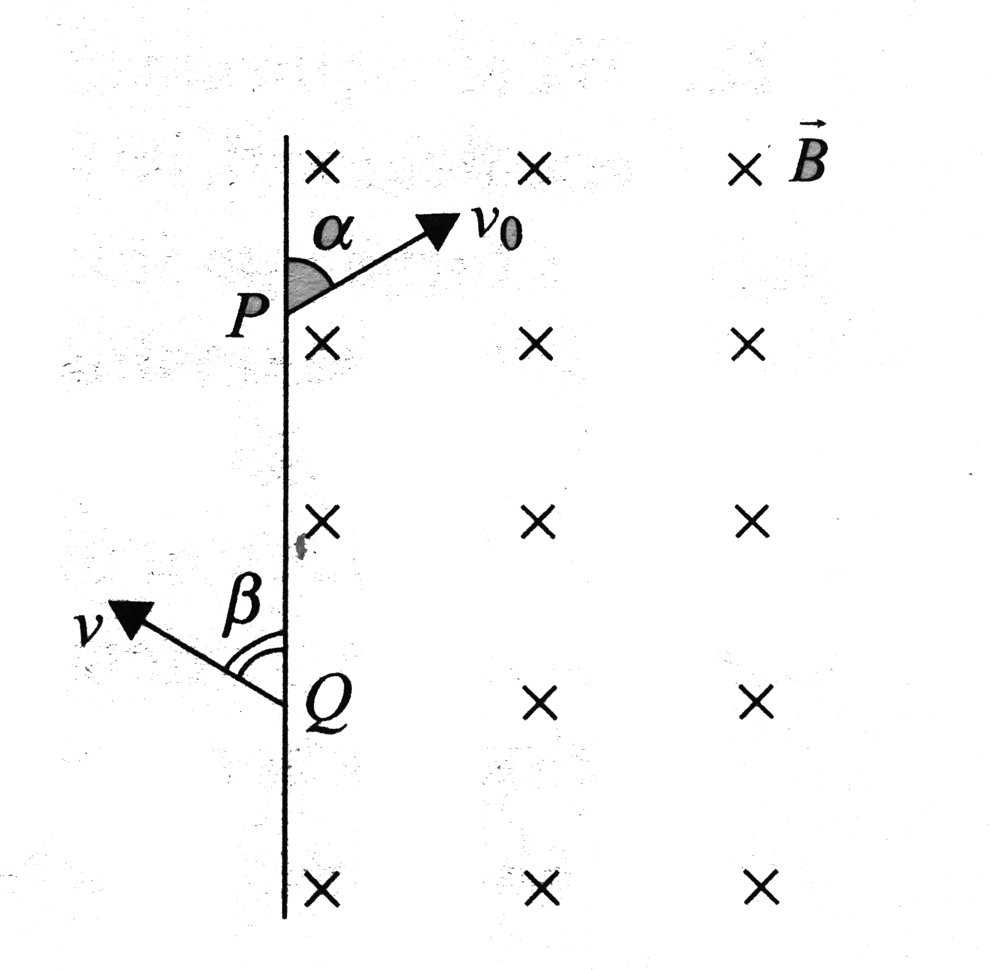 A particle of charge -q and mass m enters a uniform magnetic field vecB (perpendicular to paper inward) at P with a velocity v0 at an angle alpha and leaves the field at Q with velocity v at angle beta as shown in fig.