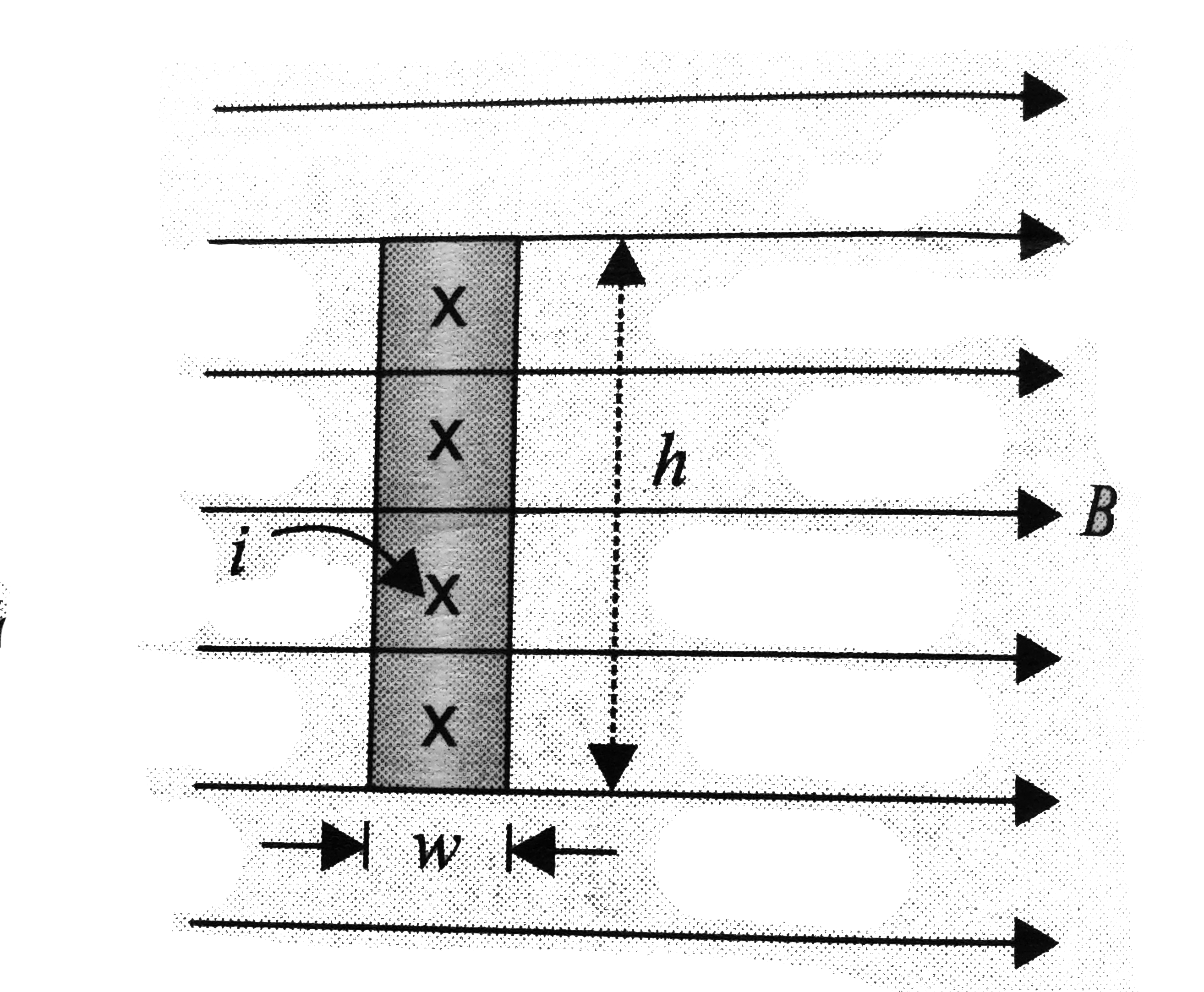 A current i, indicated by the crosses in figure, is established in a strip of copper of height h and width w. A uniform field of magnetic induction B is applied at right angle to the strip.   (a) Calculate the drift velocity vd of the electrons.   (b) What are the magnitude and direction of the magnetic force F acting on the electrons?   (c) What should the magnitude and direction of a homogeneous electric field E be in order to counterbalance the effect of mangetic field?   (d) Calculate voltage V necessary between two sides of the conductor in order to creat this field E Between which sides of the conductor would this voltage have to be applied?   (e) If no electric field is applied from the outside, the electrons will be pushed somewhat to one side and therefore will give rise to a uniform electric field EH across the conductor until the forces of this electrostatic field EH balance the magnetic forces encountered in part (b). What will be the magnitude and direction of field EH?   Assume that n, the number of conductor electrons per unit volume is 1.1xx10^(29) m^-3, h = 0.02 m, w= 0.1 cm, i = 50 A, and B=2 T.