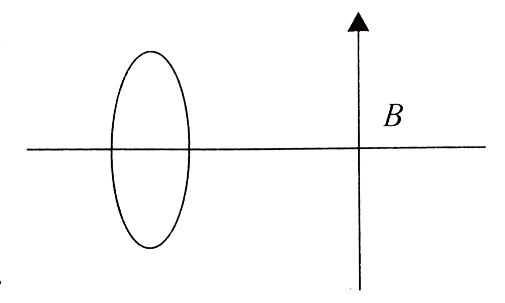A closed current-carrying loop having a current I is having area A. Magnetic moment of this loop is defined as vec(mu) = vec(IA) where direction of area vector is towards the observer if current is flowing in anticlockwise direction with respect to the observer. If this loop is placed in a uniform magnetic field vec(B), then torque acting on the loop is given by vec(tau) = vec(mu) xx vec(B). Now answer the following questions:   Consider the situation shown in Fig., ring is having a uniformly distributed positive charge. Magnetic field is perpendicular to the axis of ring. Now ring is rotated in anticlockwise direction as seen from left hand side direction of magnetic torque acting on the ring is