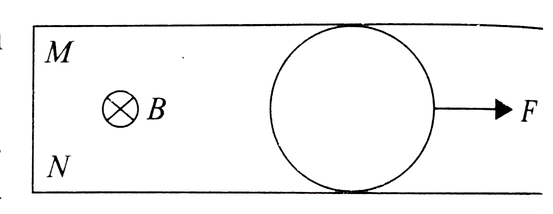 Two long parallel conducting horizontal rails are connected by a conducting wire at one end. A uniform magnetic field B (directed vertically downwards) exists in the region of space.      A light uniform ring of diameter d which is practically equal to separation between the rails is placed over the rails as shown in Fig. If resistance of ring be (lambda) per unit length   The current in the wire MN is