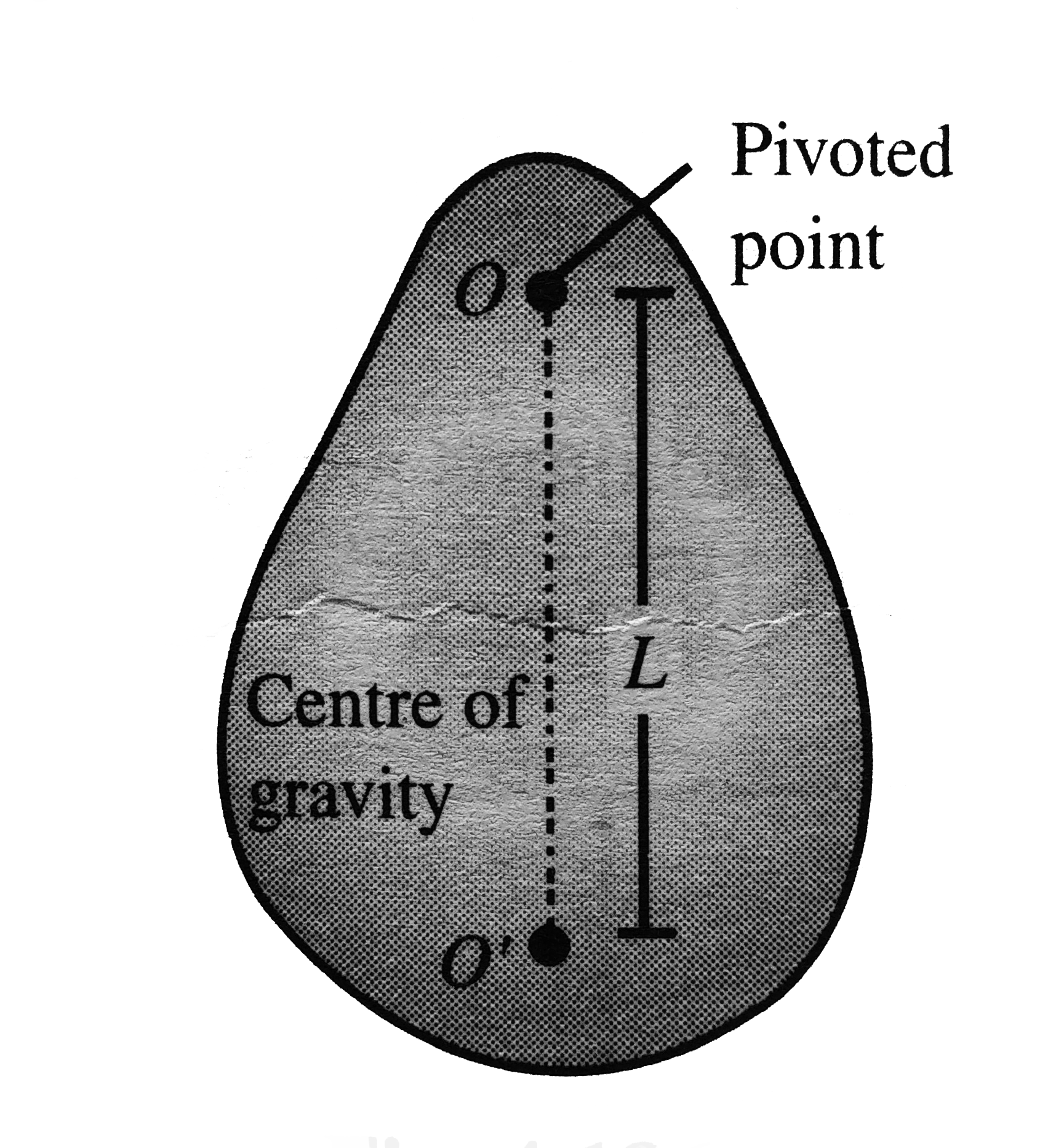 In physical pendulum, the time period for small oscillation is given by T=2pisqrt((I)/(Mgd)) where I is the moment of inertial of the body about an axis passing through a pivoted point O and perpendicular to the plane of oscillation and d is the separation point between centre of gravity and the pivoted point. In the physical pendulum a speacial point exists where if we concentrate the entire mass of body, the resulting simple pendulum (w.r.t. pivot point O) will have the same time period as that of physical pendulum This point is termed centre of oscillation.   T=2pisqrt((I)/(Mgd))=2pisqrt((L)/(g)) Moreover, this point possesses two other important remarkable properties:   Property I: Time period of physical pendulum about the centre of oscillation (if it would be pivoted) is same as in the original case.   Property II: If an impulse is applied at the centre of oscillatioin in the plane of oscillation, the effect of this impulse at pivoted point is zero. Because of this property, this point is also known as the centre of percussion. From the given information answer the following question:   Q. A uniform rod of mass M and length L is pivoted about point O as shown in Figgt It is slightly rotated from its mean position so that it performs angular simple harmonic motion. For this physical pendulum, determine the time period oscillation.