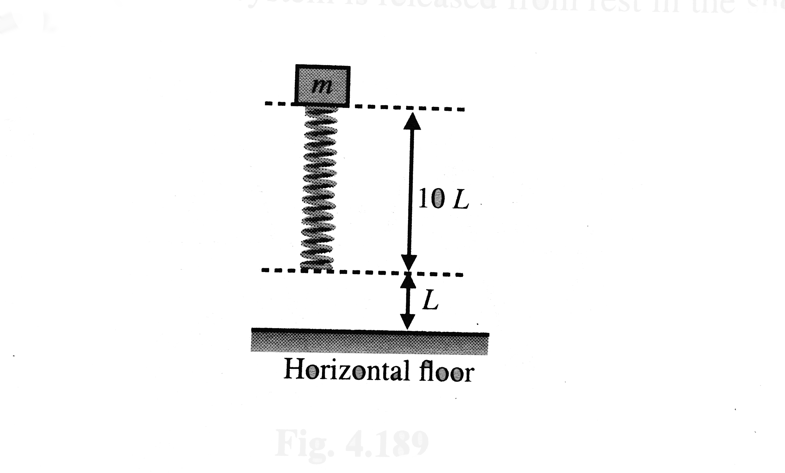 A small block of mass m is fixed at upper end of a massive vertical spring of spring constant k=(2mg)/(L) and natural length 10L The lower end of spring is free and is at a height L from fixed horizontal floor as shown. The spring is initially unstressed and the spring block system is released from rest in the shown position.   Q. At the instant the speed of block is maximum the magitude of force exeted by the spring on the block is