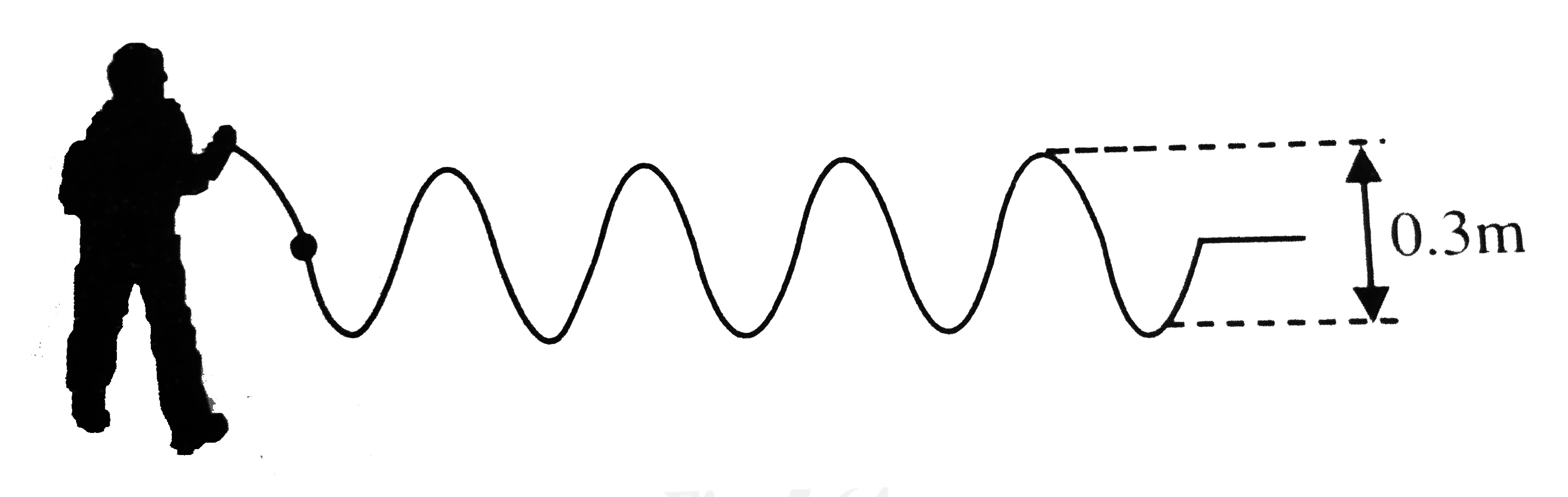 figure. Shows a student setting up wave wave on a long stretched string. The student's hand makes one complete up and down movement in 0.4 s and in each up and down movement the hand moves by a height of 0.3 m. The wavelength of the  waves on the string is 0.8 m.      The frequency of the wave is