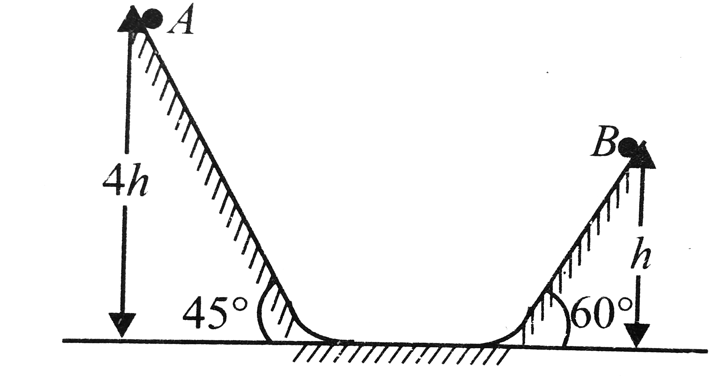 Two identical balls A and B are released from the position shown in Fig. They collide elastically with each other on the horizontal portion. The ratio of heights attained by A and B after collision is (neglect friction)