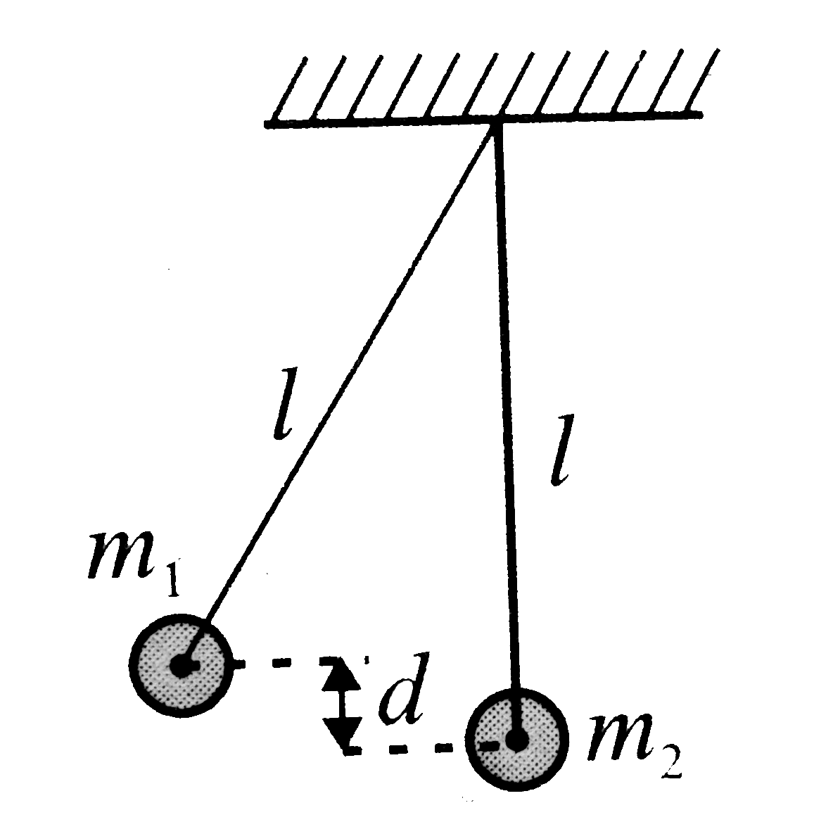 Two pendulums each of length l are initially situated as shown in Fig. The first pendulum is released and strikes the second. Assume that the collision is completely inelastic and neglect the mass of the string and any frictional effects. How high does the centre of mass rise after the collision?