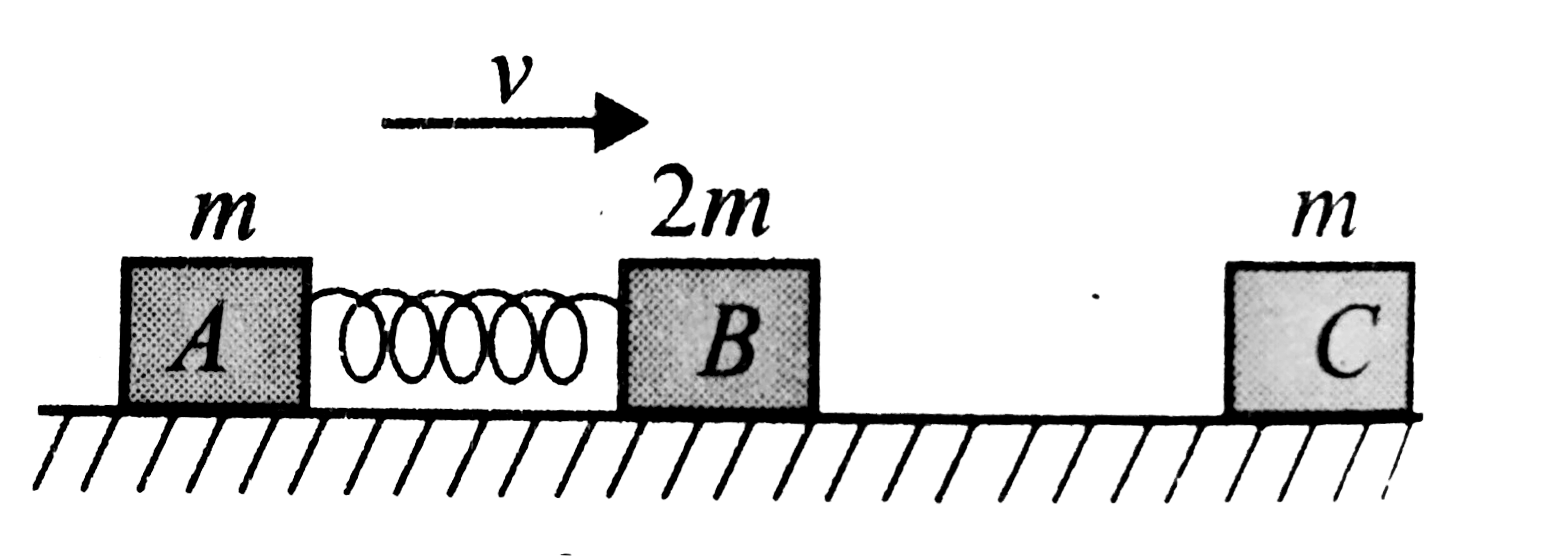 Two blocks A and B of masses in and 2m, respectively, are connected with the help of a spring having spring constant, k as shown in Fig. Initially, both the blocks arc moving with same velocity v on a smooth horizontal plane with the spring in its natural length. During their course of motion, block B makes an inelastic collision with block C of mass m which is initially at rest. The coefficient of restitution for the collision is 1//2. The maximum compression in the spring is