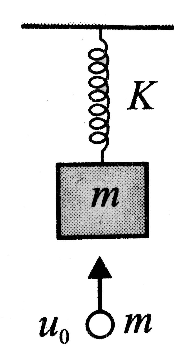 A block of mass 'm' is hanging from a massless spring of spring constant K. It is in equilibrium under the influence of gravitational force. Another particle of same mass 'm' moving upwards with velocity ao hits the block and sticks to it. For the subsequent motion, choose the incorrect statements: