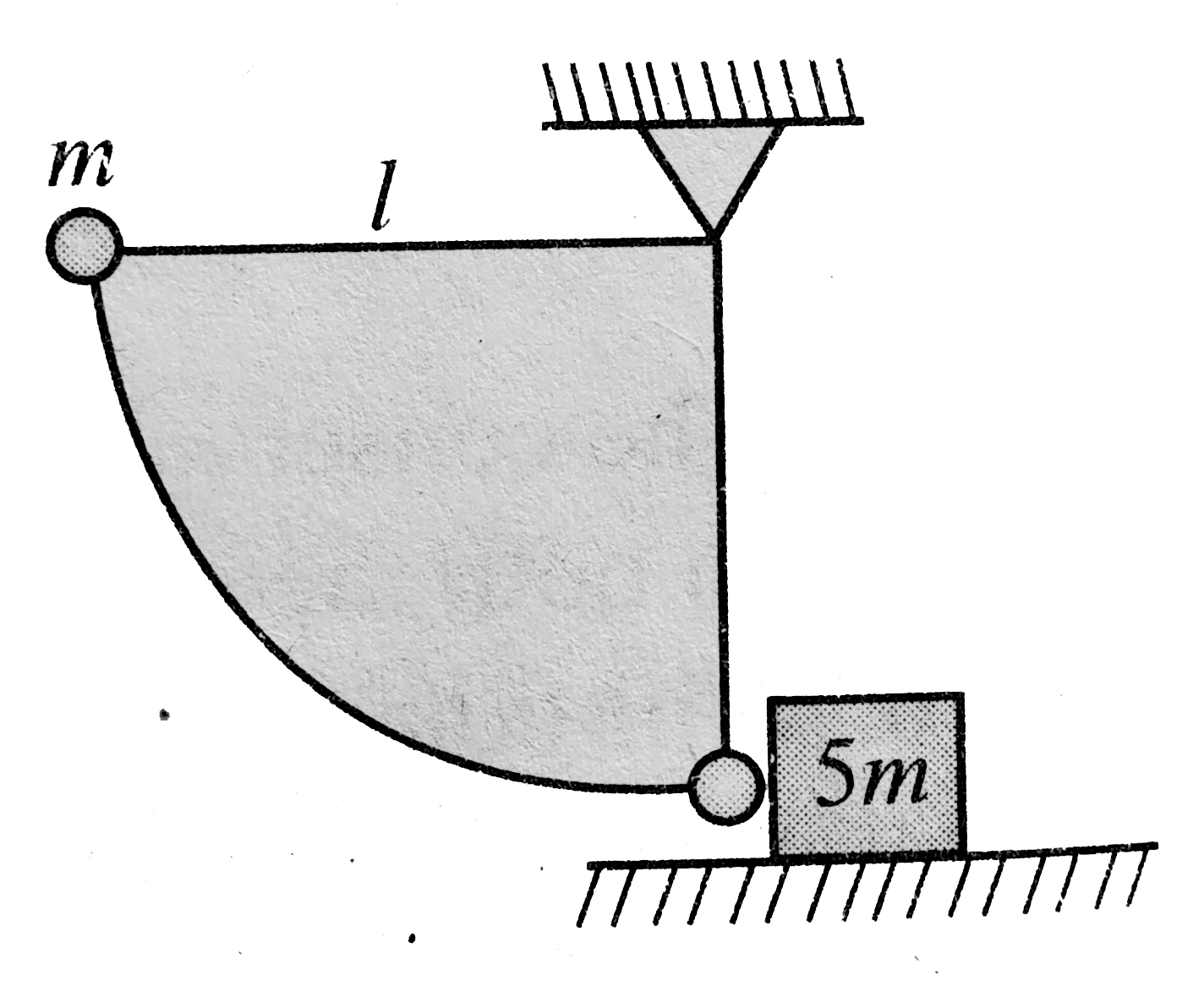 A pendulum bob of ideal string mass m connected to the end of of length l is released from rest from horizontal position as shown in Fig.  At the lowest point, the bob makes an elastic collision with a stationary block of mass 5m, Which is kept on a frictionless surface. Mark out the comet statement(s) for the instant just after impact.