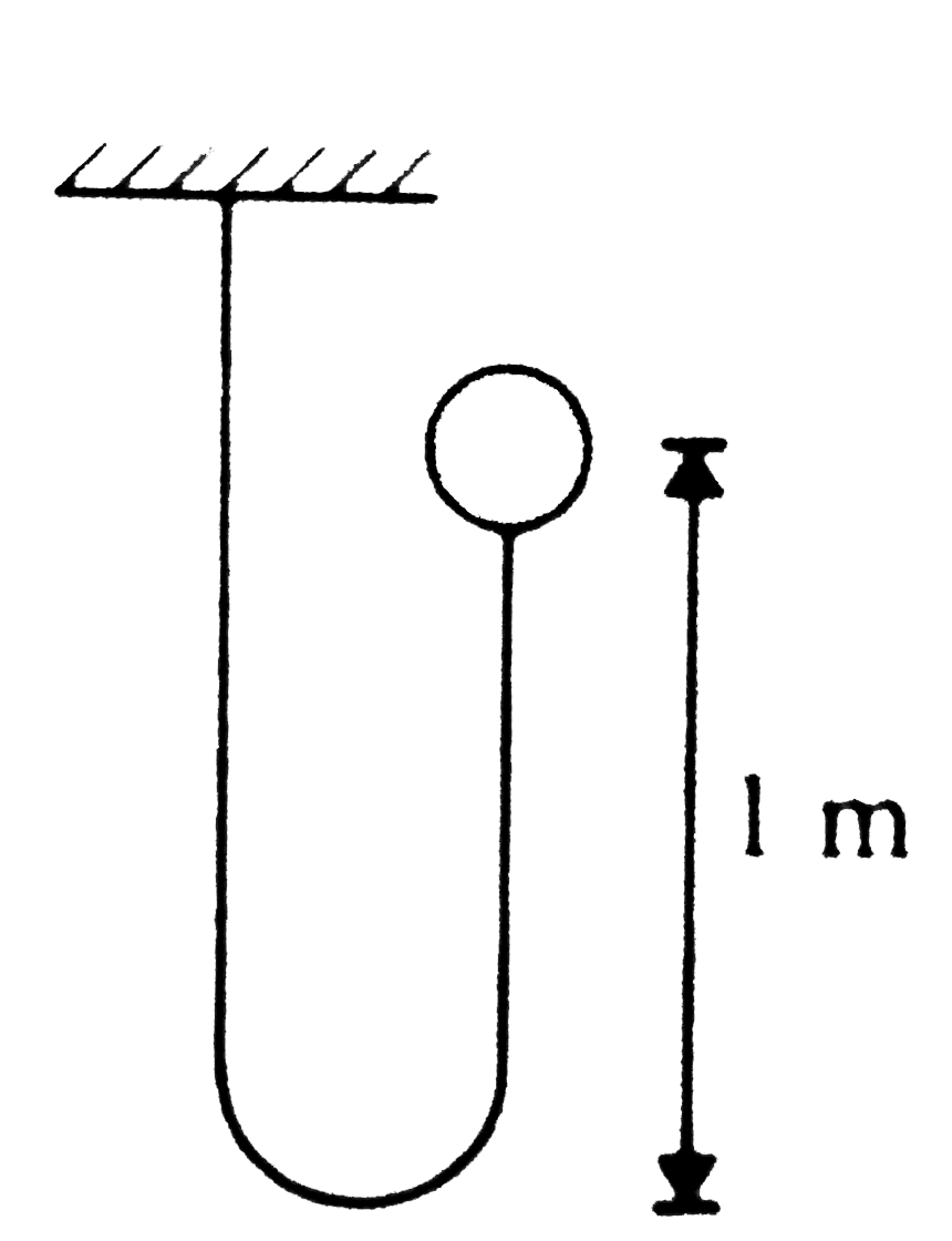 A ball of mass 1 kg is attached to an inextensible string. The ball is released from the position shown in figure. Find the impulse imparted by the string to the ball immediately after the string becomes taut.