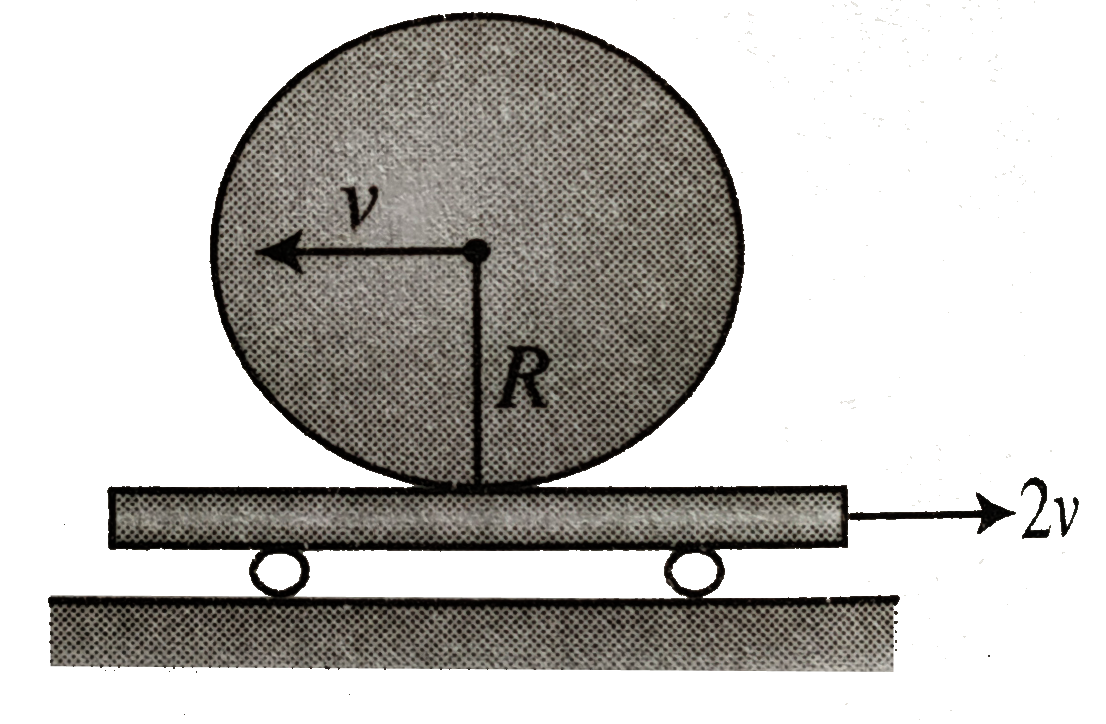 A uniform disc is spun with an angular velocity omega and simultaneously projected with a linear velocity v towards left on a plank, while the plank moves towards right with a constant velocity 2v. If the disc rolls without sliding on the plank just after its spinning, find the magnitude of vecomega. (Take v = 3 ms^(-1),R=1m)