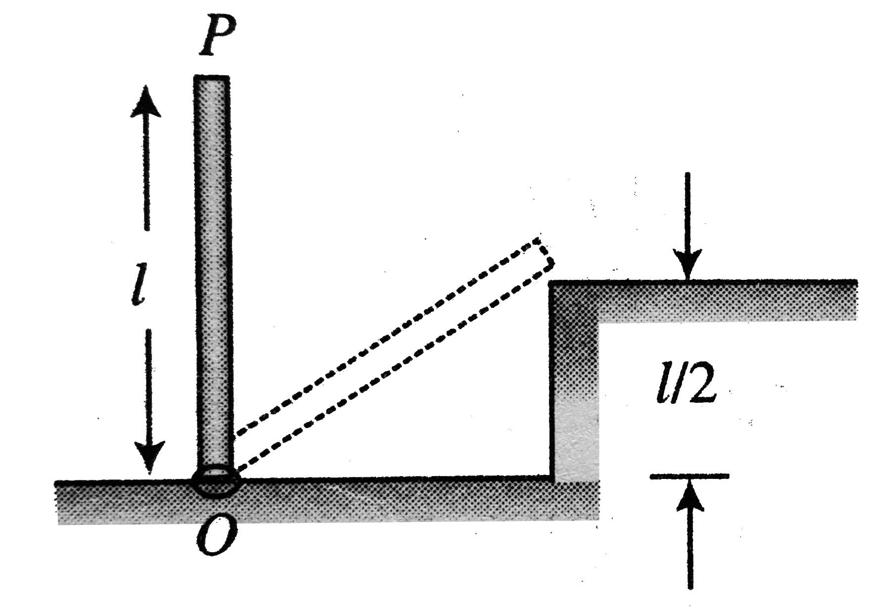 A uniform rod of mass m and length l is released from rest from its vertical position by giving a gently push. In consequence, the end of the rod collides at P after rotating about the smooth horizontal axis O. If the coefficient of restitution e = (1/2). Find the: a. angular speed of the rod just after the impact.      b. energy loss during collision. c. maximum angle rotated by rod after collision.