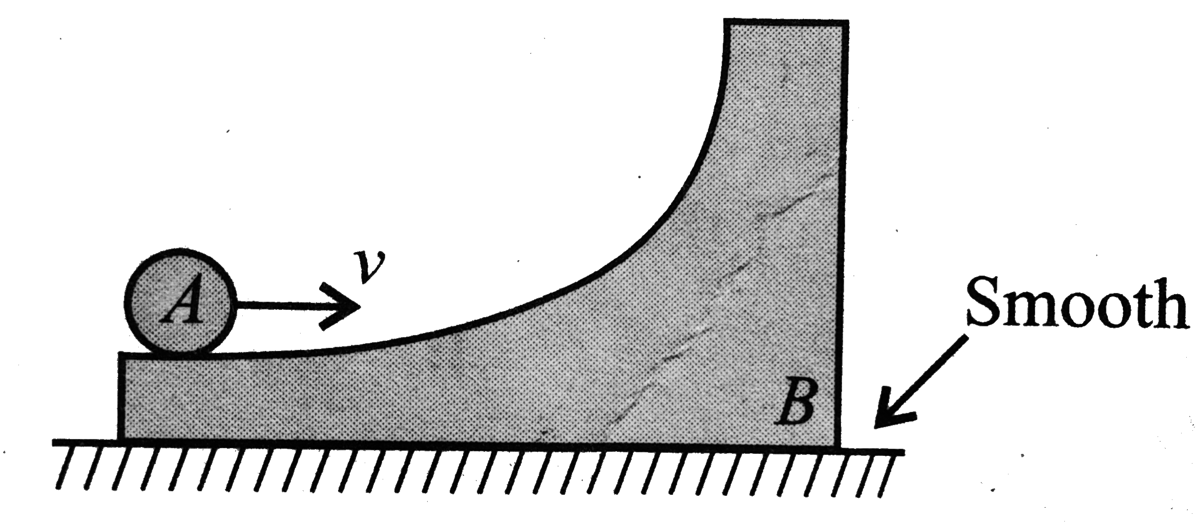 In the figure shown, a ring A is initially rolling without sliding with a velocity v, on the horizontal surface of the body B (of same mass as A). All surfaces arc smooth. B has no initial velocity. What will be the maximum height reached by A on B?
